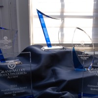 5 awards displayed on table